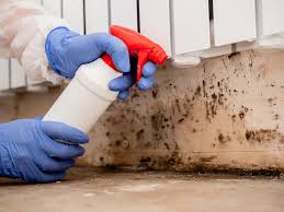 Best Mold Prevention Services in Posen, IL